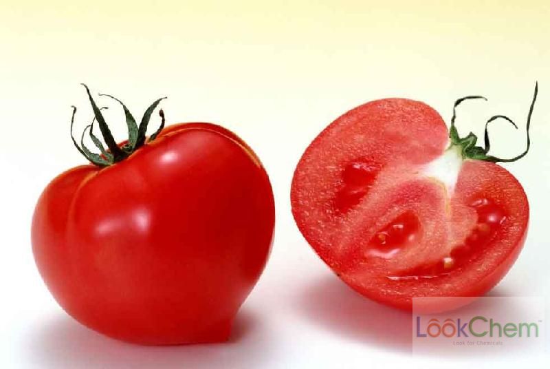 Lycopene 5%