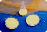 2,5-dimethoxybenzaldehyde