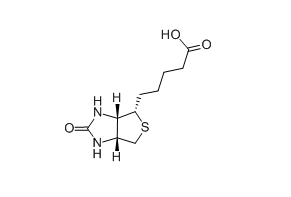 D-Biotin